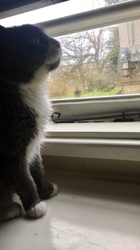 Entry image for Ed. Clicking this image will show a larger photo