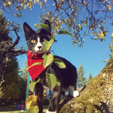 Entry image for Fourteen . Clicking this image will show a larger photo