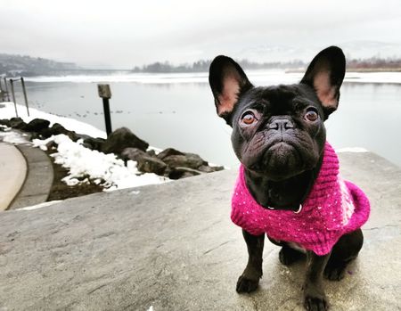 Entry image for Charlotte. Clicking this image will show a larger photo