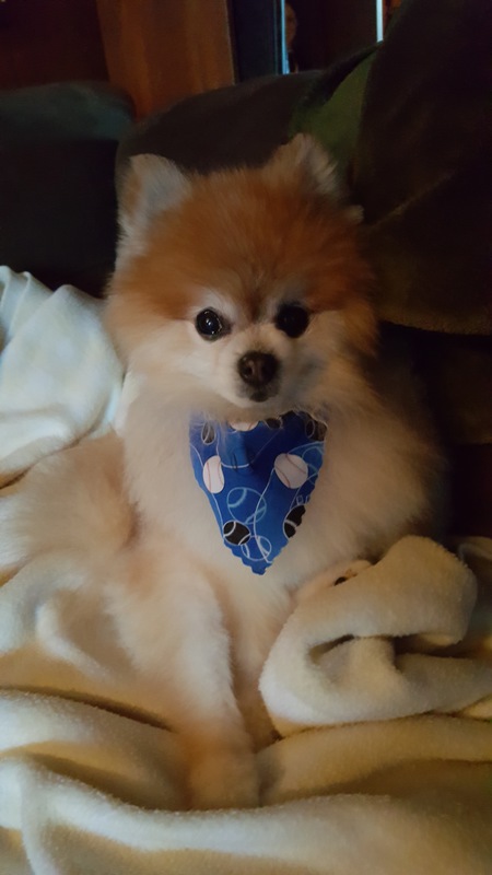 Entry image for Tuco. Clicking this image will show a larger photo