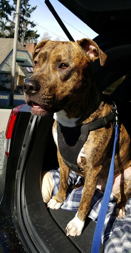 Entry image for meeka. Clicking this image will show a larger photo