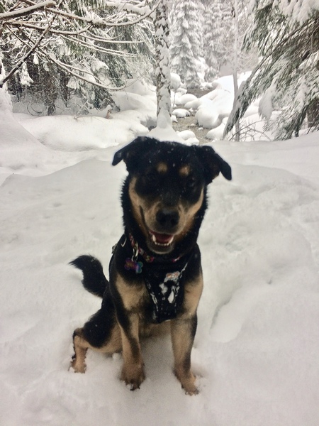 Entry image for Meera. Clicking this image will show a larger photo