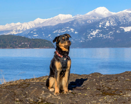 Entry image for Meera. Clicking this image will show a larger photo