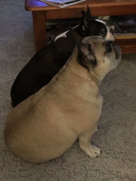 Entry image for Radar and Java. Clicking this image will show a larger photo