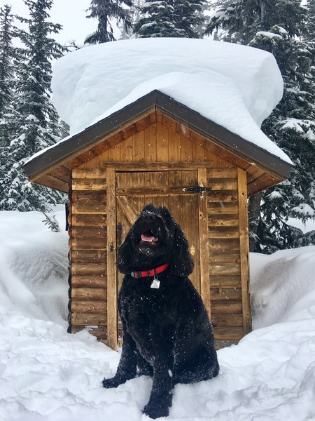 Entry image for Sydney . Clicking this image will show a larger photo