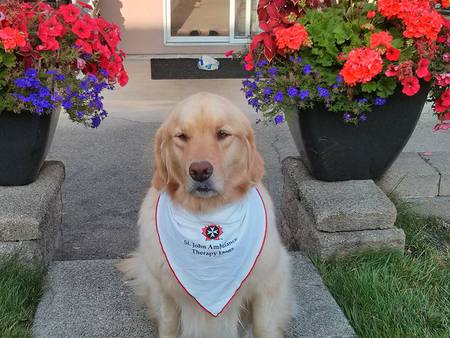 Entry image for Molly. Clicking this image will show a larger photo