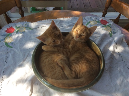 Entry image for Alex & Jaxon. Clicking this image will show a larger photo