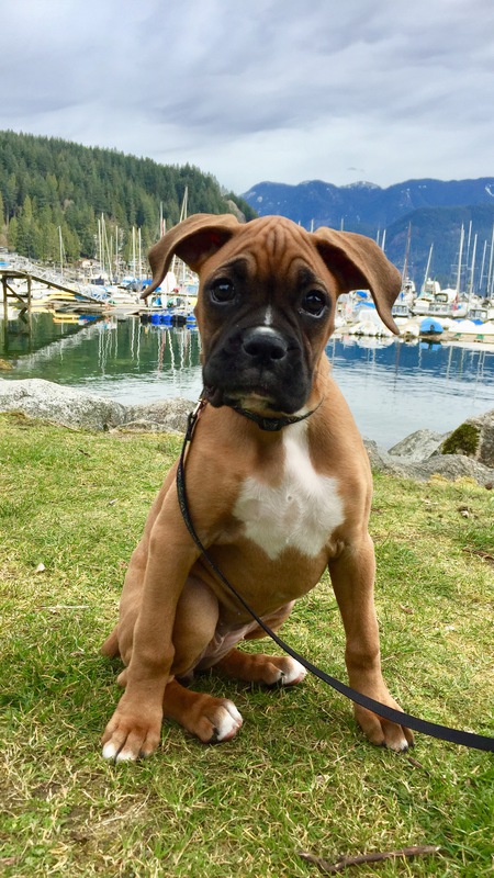 Entry image for Jessie. Clicking this image will show a larger photo