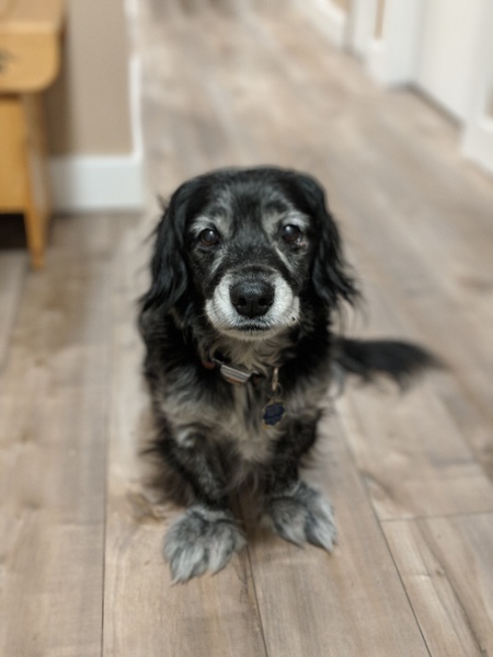 Entry image for Max. Clicking this image will show a larger photo