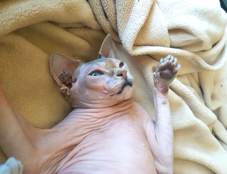 Entry image for Khloe. Clicking this image will show a larger photo