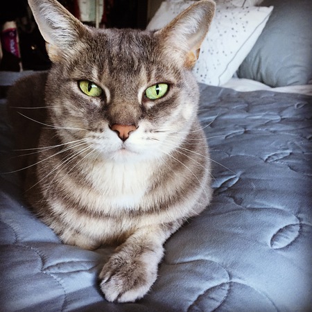 Entry image for Flip. Clicking this image will show a larger photo