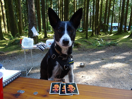 Entry image for Sir Winston Norman. Clicking this image will show a larger photo