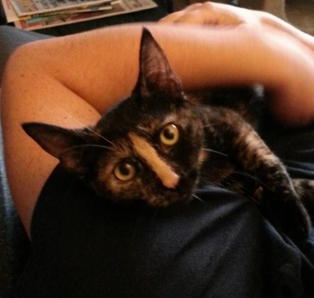 Entry image for Caly. Clicking this image will show a larger photo