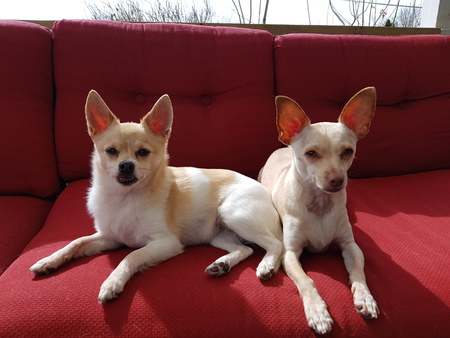 Entry image for Shelley and Luke . Clicking this image will show a larger photo