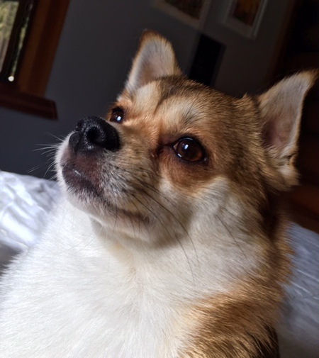 Entry image for Kilo. Clicking this image will show a larger photo