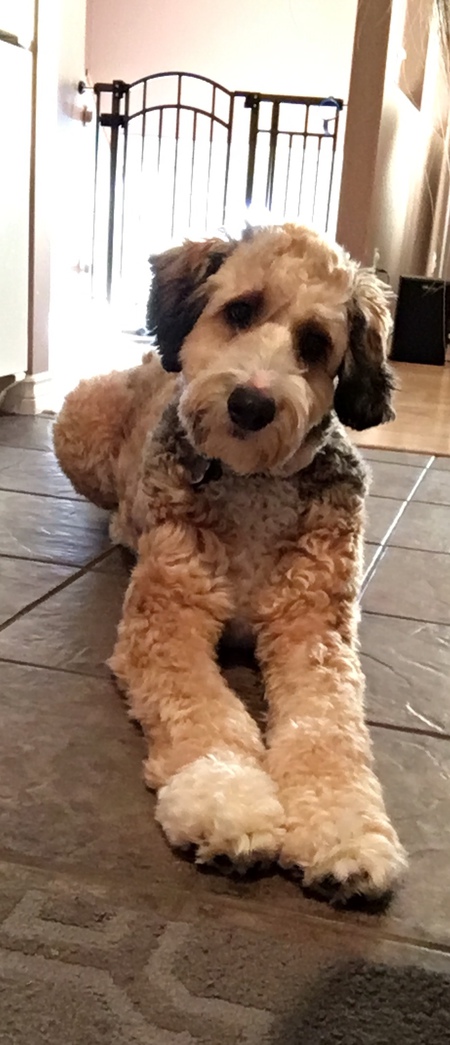 Entry image for Chase. Clicking this image will show a larger photo