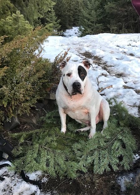 Entry image for Torque. Clicking this image will show a larger photo