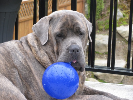 Entry image for Floyd. Clicking this image will show a larger photo