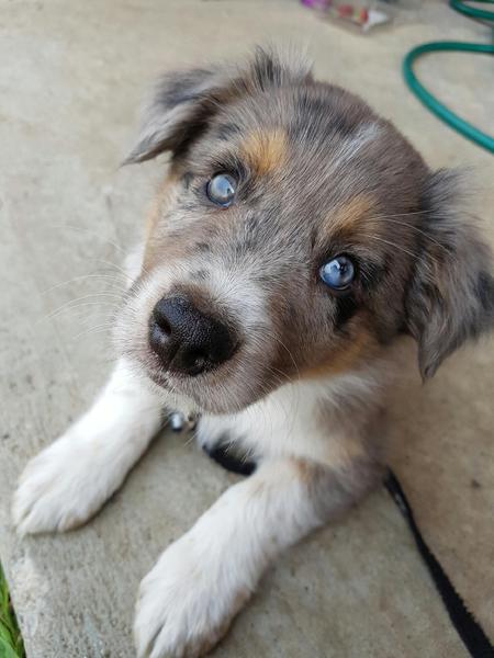 Entry image for Finder. Clicking this image will show a larger photo