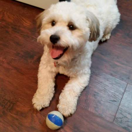 Entry image for Roo. Clicking this image will show a larger photo