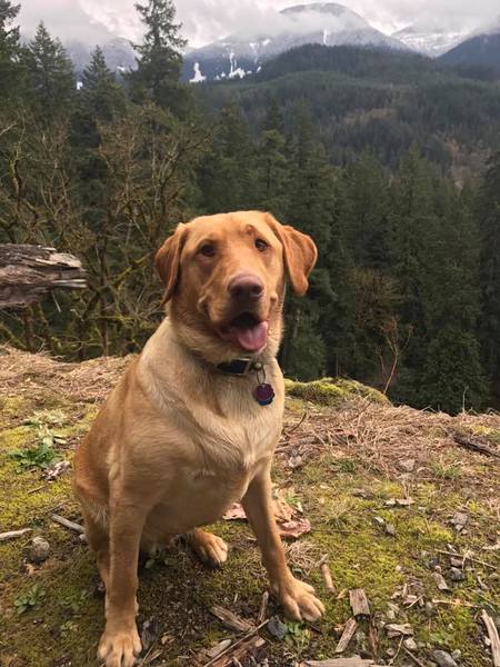 Entry image for Winnie. Clicking this image will show a larger photo