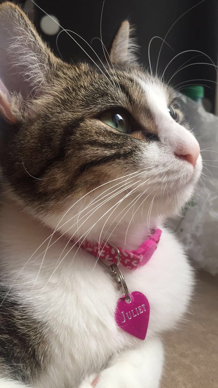 Entry image for Juliet . Clicking this image will show a larger photo