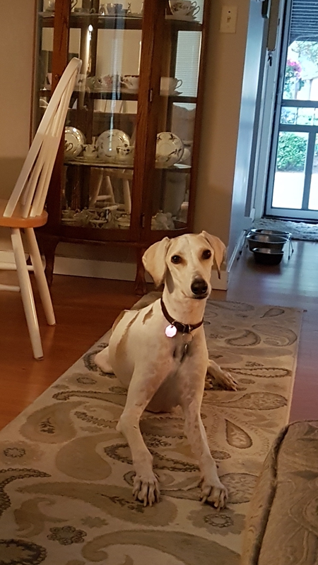 Entry image for Malik. Clicking this image will show a larger photo