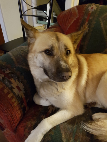 Entry image for DeeDee Russell. Clicking this image will show a larger photo