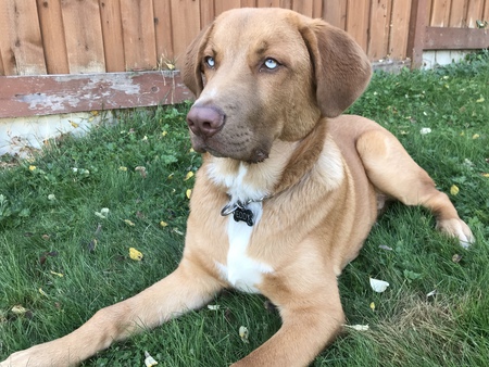 Entry image for Eddy. Clicking this image will show a larger photo