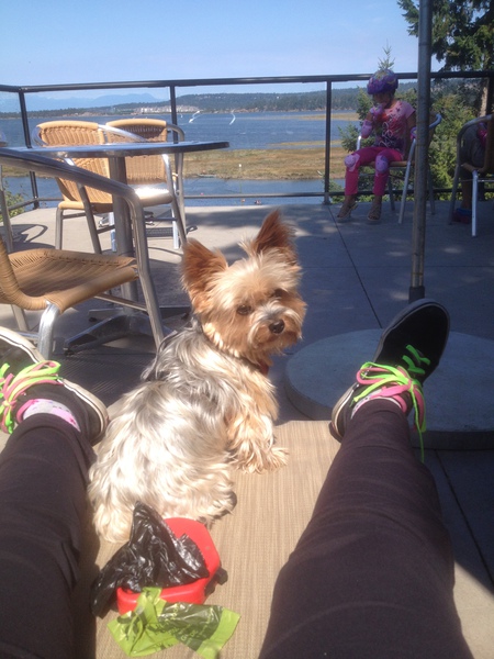 Entry image for Phoebe. Clicking this image will show a larger photo