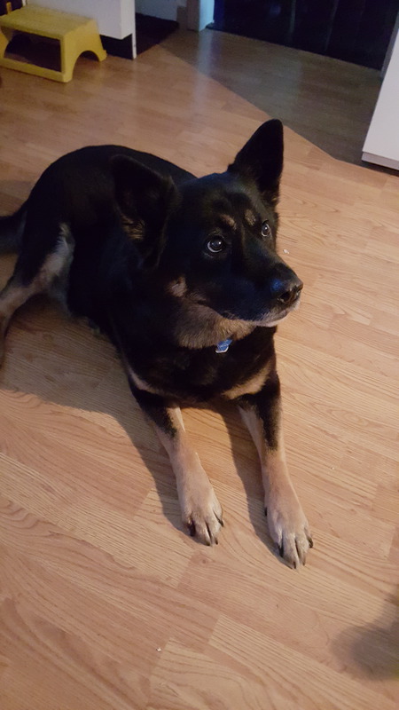 Entry image for K.C.. Clicking this image will show a larger photo