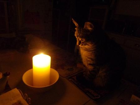 Entry image for Mavis. Clicking this image will show a larger photo