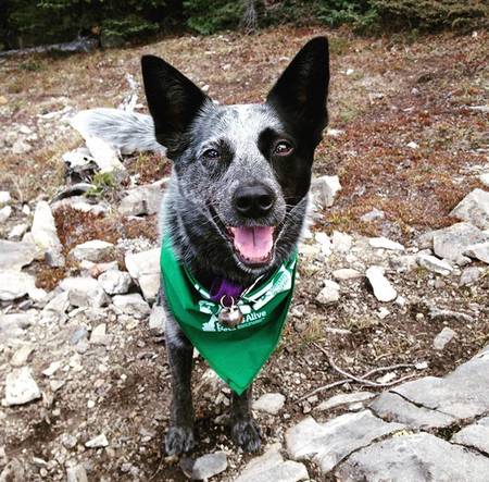 Entry image for Kieta. Clicking this image will show a larger photo