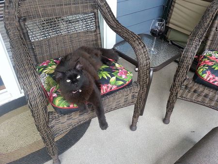 Entry image for Lucy. Clicking this image will show a larger photo