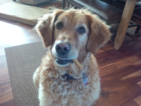 Entry image for Sydney . Clicking this image will show a larger photo