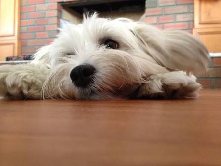 Entry image for Mandi. Clicking this image will show a larger photo