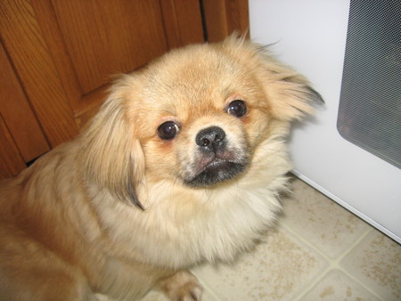 Entry image for Tyree. Clicking this image will show a larger photo