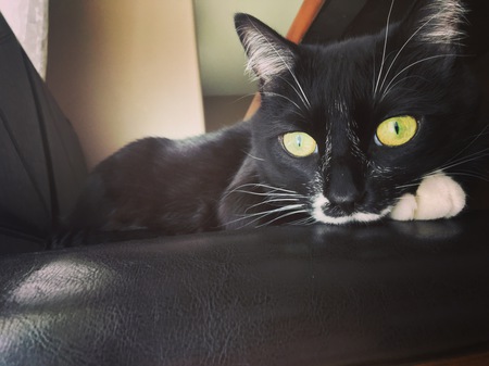 Entry image for Nevaeh . Clicking this image will show a larger photo