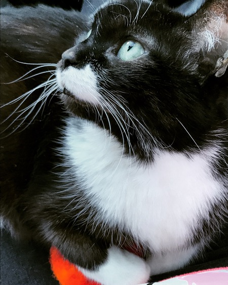 Entry image for Ana. Clicking this image will show a larger photo