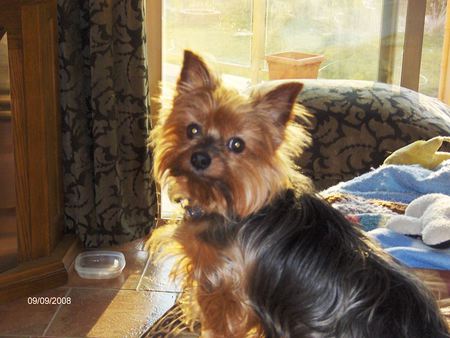 Entry image for Maddie. Clicking this image will show a larger photo