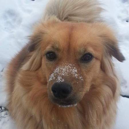 Entry image for Angie. Clicking this image will show a larger photo