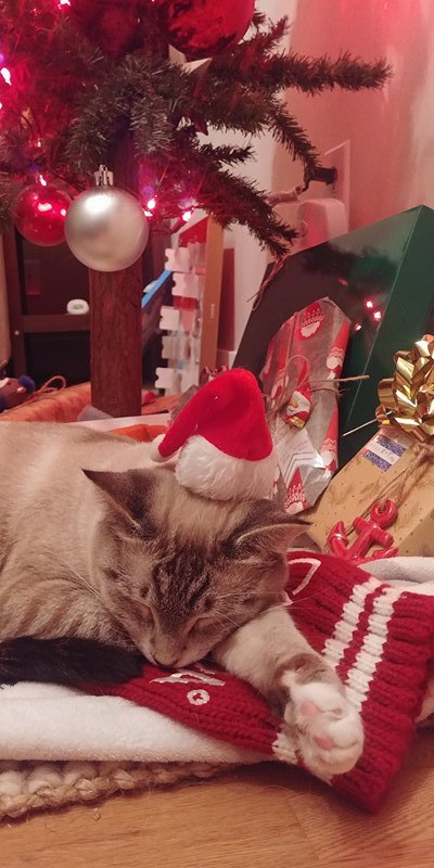 Entry image for Debs. Clicking this image will show a larger photo