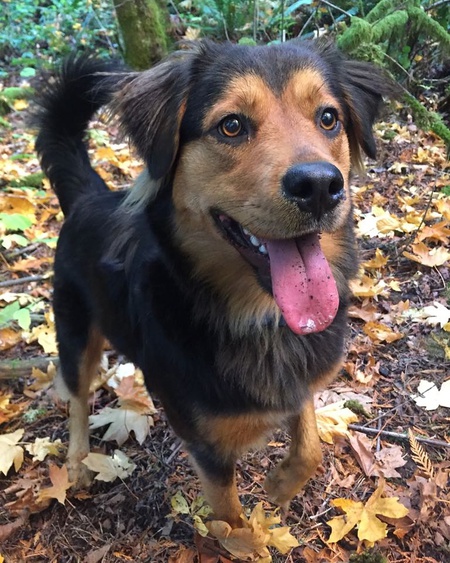 Entry image for Elizabeth Lawrence . Clicking this image will show a larger photo