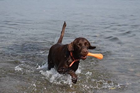 Entry image for Zoe. Clicking this image will show a larger photo