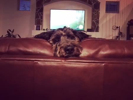 Entry image for Mable. Clicking this image will show a larger photo