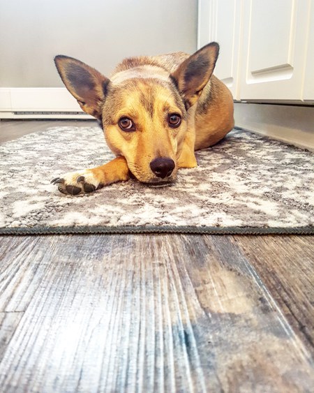 Entry image for Nina. Clicking this image will show a larger photo