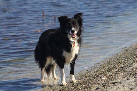 Entry image for Spritz. Clicking this image will show a larger photo