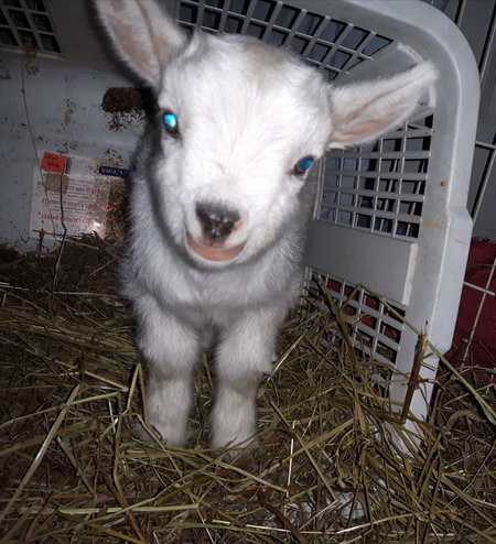 Entry image for Holly. Clicking this image will show a larger photo