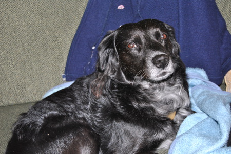 Entry image for Mario. Clicking this image will show a larger photo