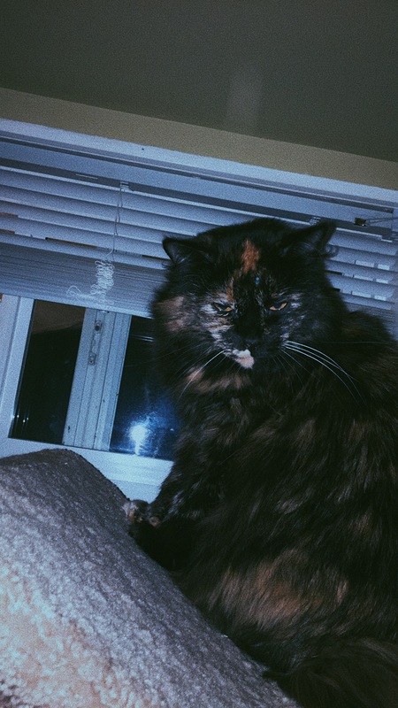 Entry image for Katie. Clicking this image will show a larger photo